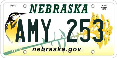 NE license plate AMY253