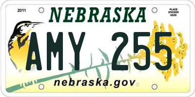 NE license plate AMY255
