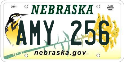 NE license plate AMY256