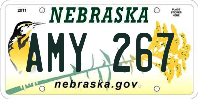 NE license plate AMY267