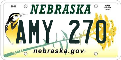 NE license plate AMY270