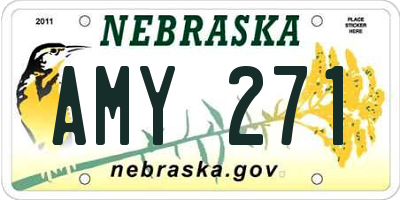 NE license plate AMY271