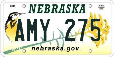 NE license plate AMY275
