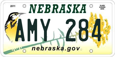 NE license plate AMY284