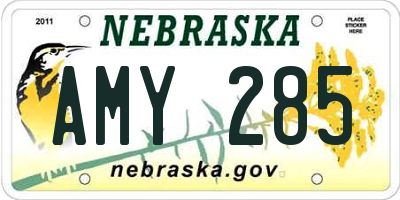 NE license plate AMY285