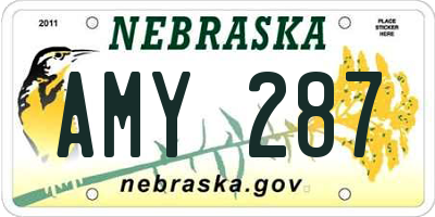 NE license plate AMY287