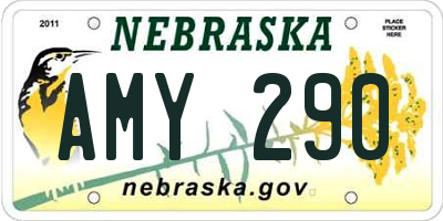 NE license plate AMY290
