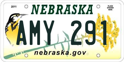 NE license plate AMY291