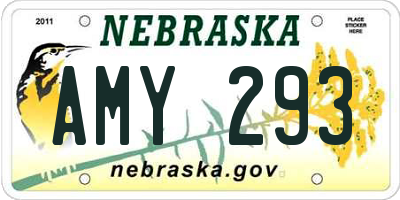 NE license plate AMY293