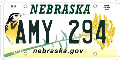 NE license plate AMY294
