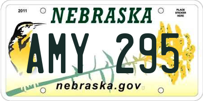 NE license plate AMY295