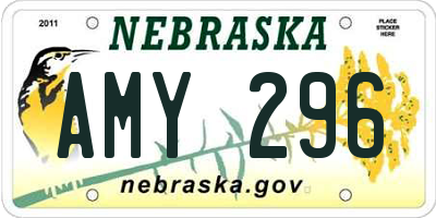 NE license plate AMY296