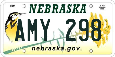 NE license plate AMY298