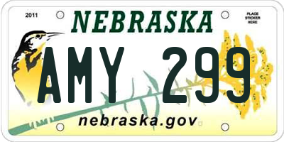 NE license plate AMY299