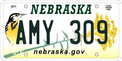 NE license plate AMY309