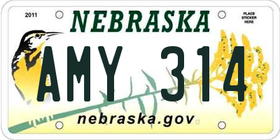 NE license plate AMY314