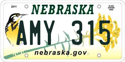 NE license plate AMY315