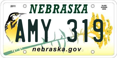 NE license plate AMY319