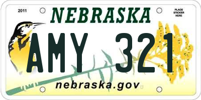 NE license plate AMY321