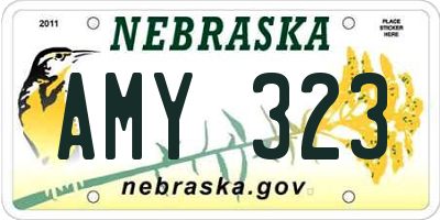 NE license plate AMY323