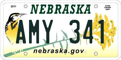 NE license plate AMY341