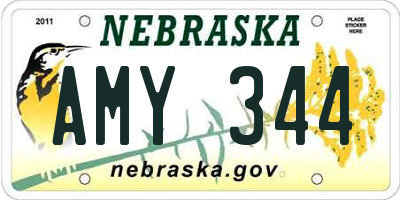 NE license plate AMY344