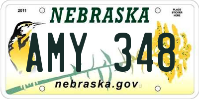 NE license plate AMY348