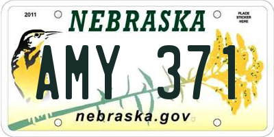 NE license plate AMY371
