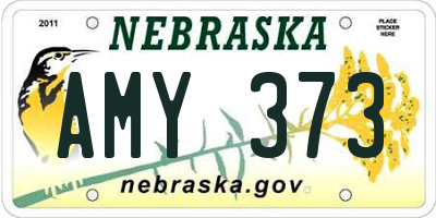 NE license plate AMY373
