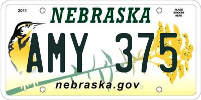 NE license plate AMY375