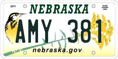 NE license plate AMY381