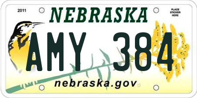 NE license plate AMY384