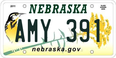 NE license plate AMY391