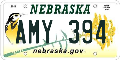 NE license plate AMY394