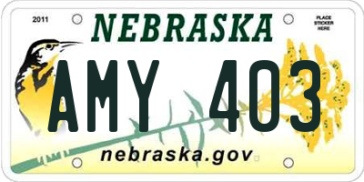 NE license plate AMY403