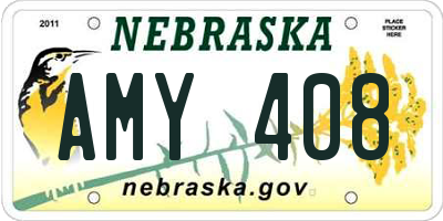 NE license plate AMY408