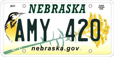 NE license plate AMY420