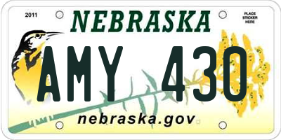 NE license plate AMY430