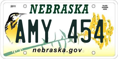 NE license plate AMY454