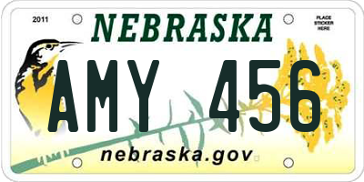 NE license plate AMY456