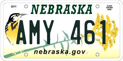 NE license plate AMY461