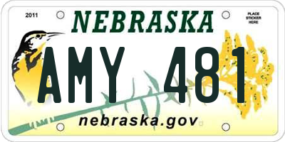 NE license plate AMY481