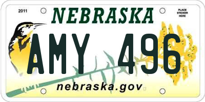 NE license plate AMY496