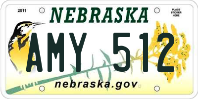 NE license plate AMY512