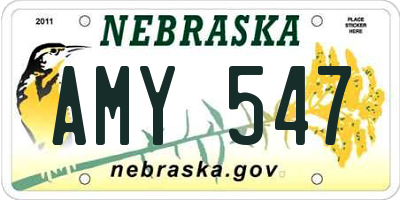 NE license plate AMY547