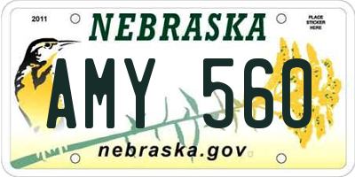 NE license plate AMY560