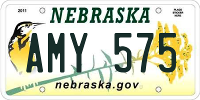 NE license plate AMY575
