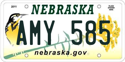 NE license plate AMY585