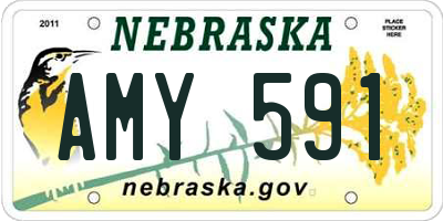 NE license plate AMY591