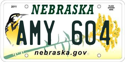 NE license plate AMY604